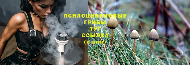 Галлюциногенные грибы Magic Shrooms  Орск 